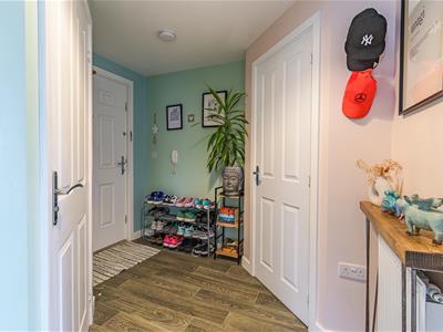 Picture 7